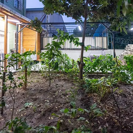 アパートホテル Valens Boutique イスタンブール